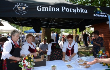 Best Practices Between Túrkeve, Salonta, Porabka and Auchel (Ref. Nr. 625205-CITIZ-1-2020-2-HU-CITIZ-TT) projekt – 19. kép