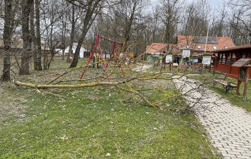 HOTEK erdő fáiról - utoljára – 9. kép