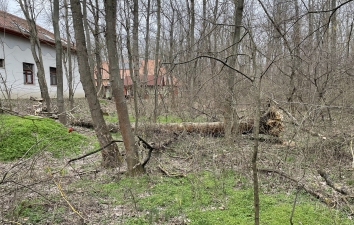 HOTEK erdő fáiról - utoljára – 12. kép