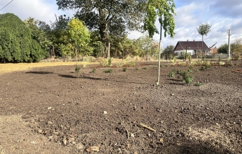 Közeledő Mindenszentek, Halottak napja – 4. kép