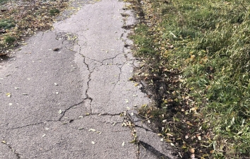 Fokozottabb közterületi felügyeletet! – 7. kép