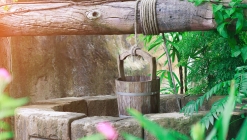 Kútskanzen - Túrkeve