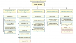 Polgármesteri szervezeti ábra