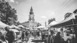 XXII. Kevi Juhászfesztivál képek