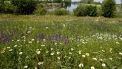 Körös körül természetesen