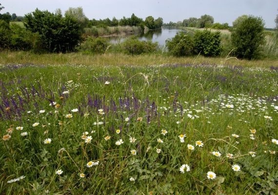 Körös körül természetesen