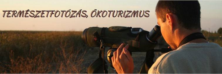 Természetfotózás, ökoturizmus