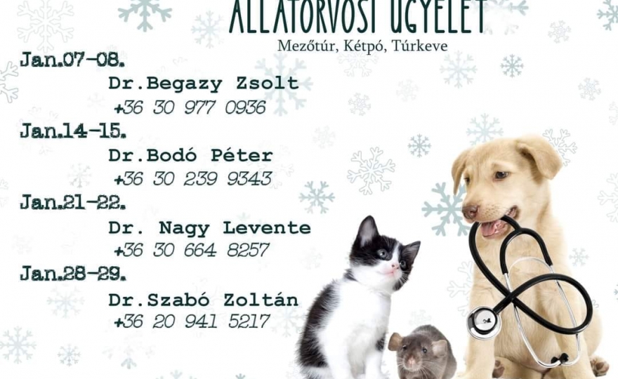 Állatorvosi ügyelet 2023. január