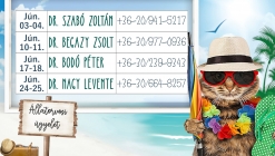 állatorvosi ügyelet 2023. június