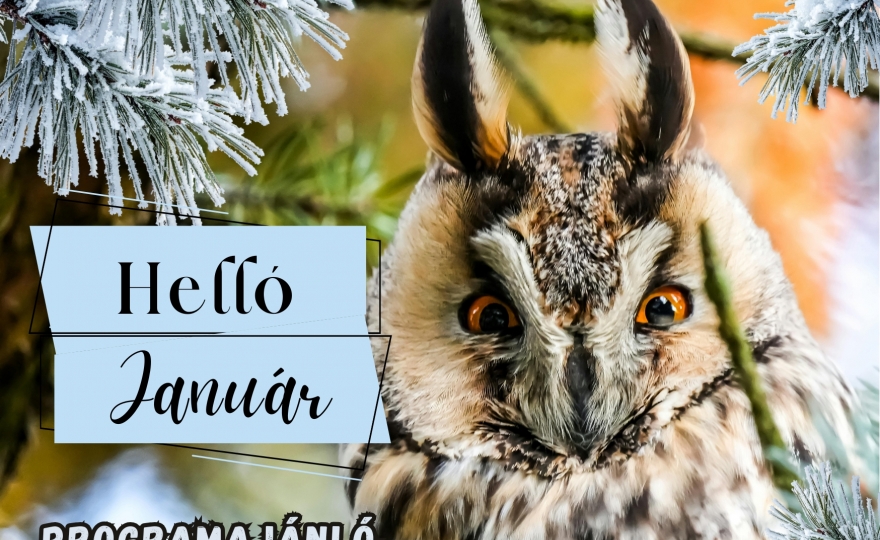 2026. januári programajánló