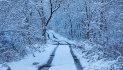 Tisztelettel kérem, mindenki nyugodjon meg! 