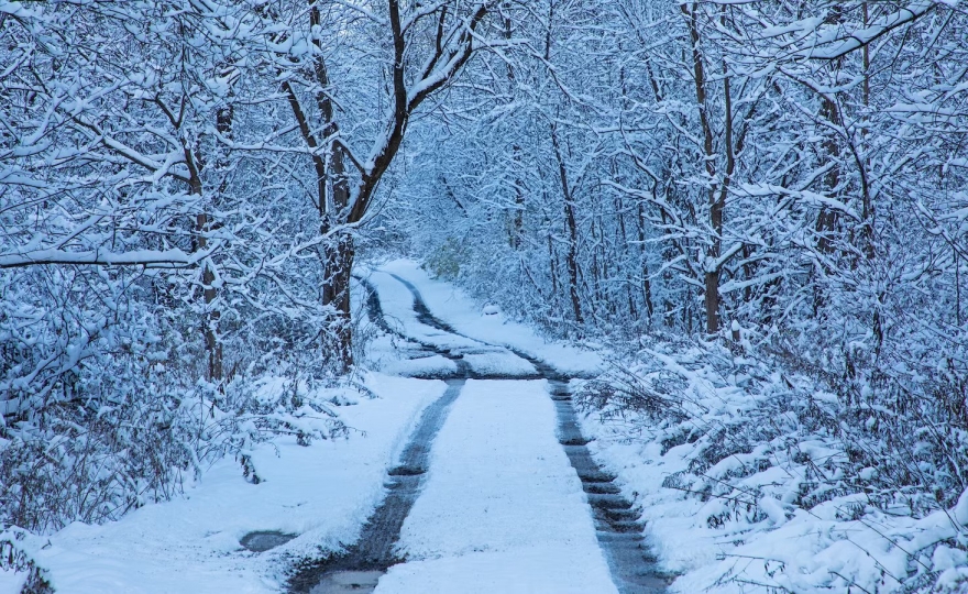 Tisztelettel kérem, mindenki nyugodjon meg! 