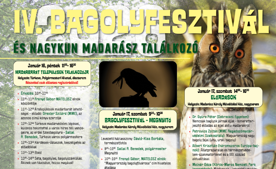 Hamarosan IV. Bagolyfesztivál