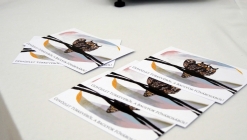 A hétvégén új fővárosa lett hazánknak, Túrkevére esett a választás – galériával, videóval