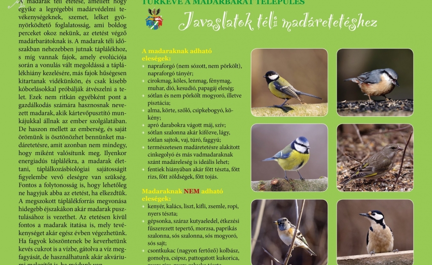 Javaslatok a téli madáretetéshez